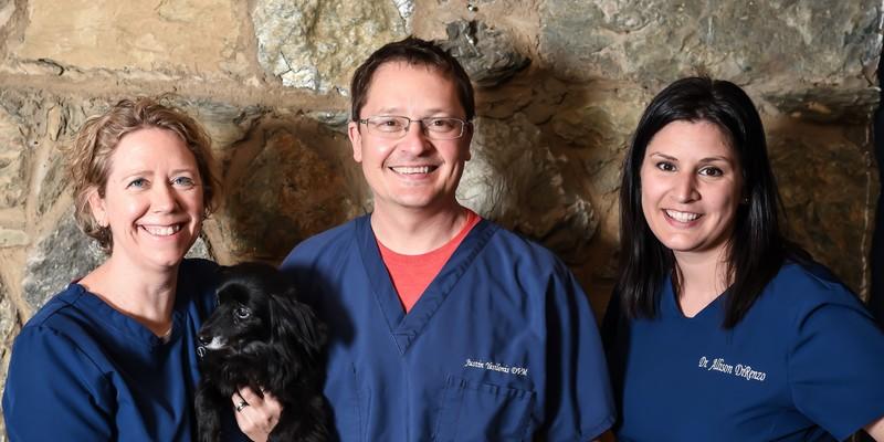 elk creek animal hospital